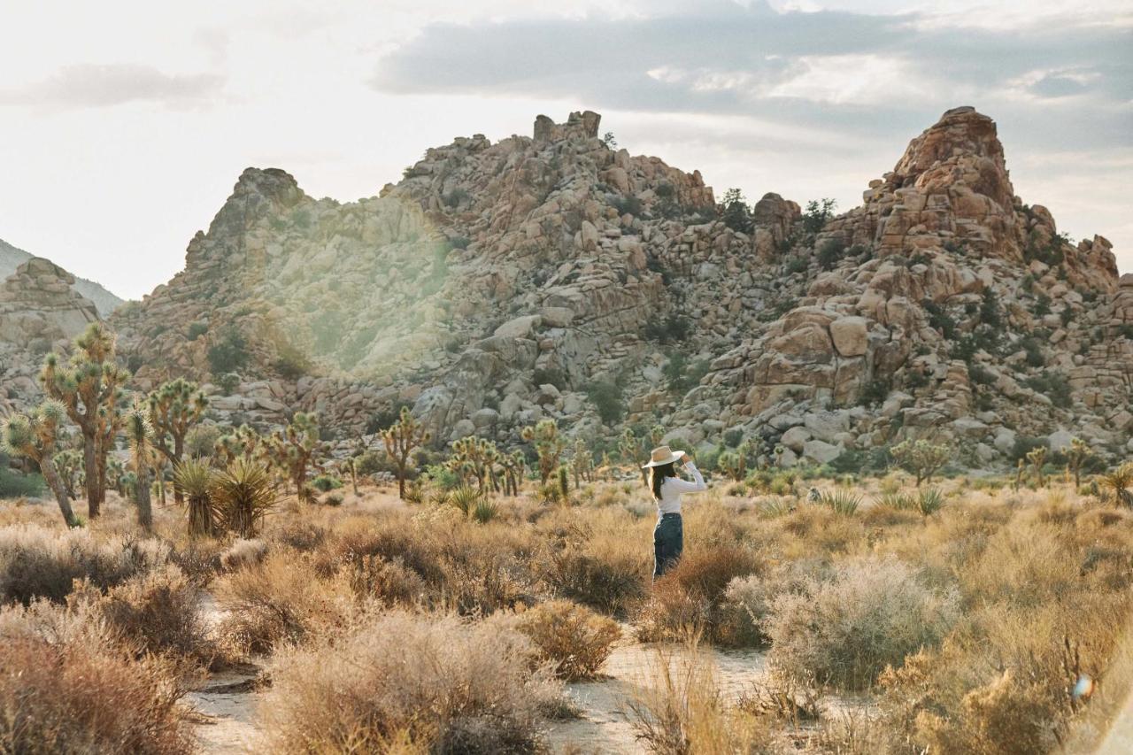 Field Station Joshua Tree Hotel Yucca Valley Exterior photo